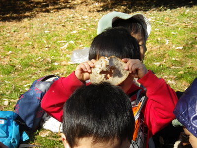 IMGP2752-1.JPG
