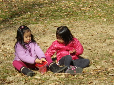 IMGP2771.JPG