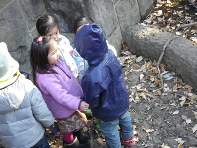 IMGP2808.JPG
