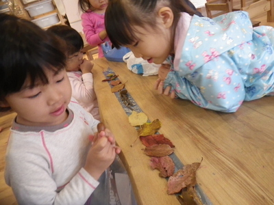 01-IMGP8371.JPG