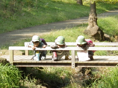 04-IMGP8377.JPG