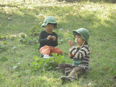 10-IMGP8410.JPG