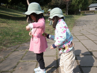 16-IMGP8436.JPG