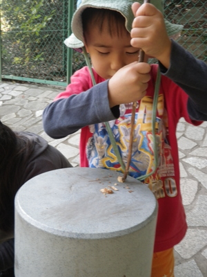 04-IMGP9445.JPG