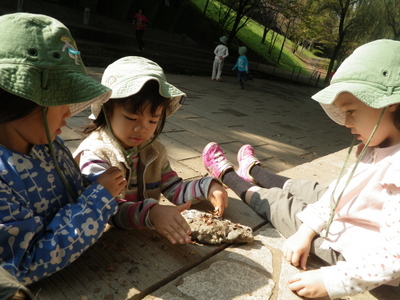 05-IMGP9451.JPG