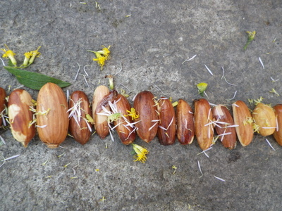 21-IMGP9512.JPG