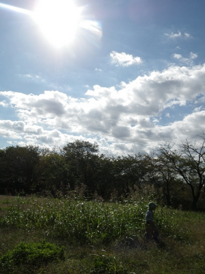09-IMGP9543.JPG