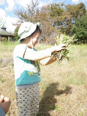 17-IMGP9573.JPG