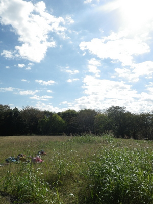 19-IMGP9586.JPG