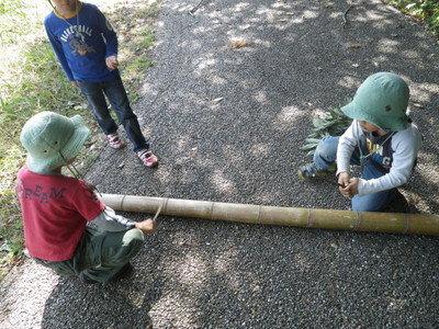 20-IMGP9588.JPG