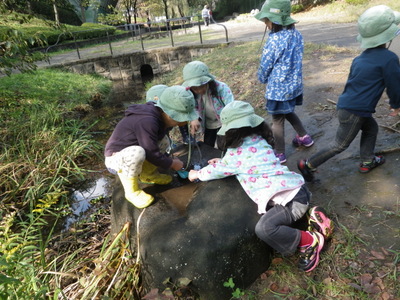 02-IMGP0109.JPG