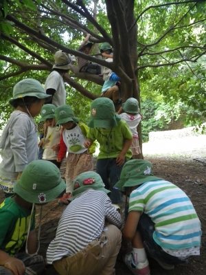 IMGP3798.JPG