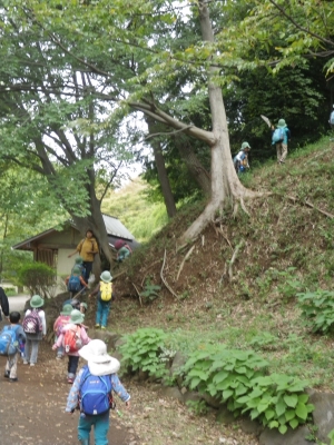 IMGP8171.JPG