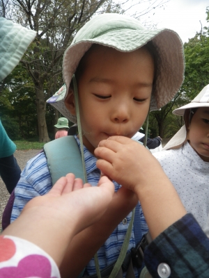 IMGP8183.JPG
