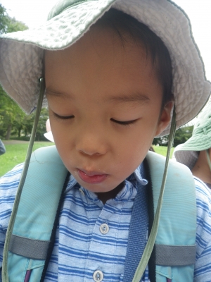 IMGP8184.JPG