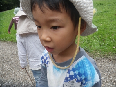 IMGP8187.JPG