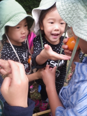 IMGP8199.JPG