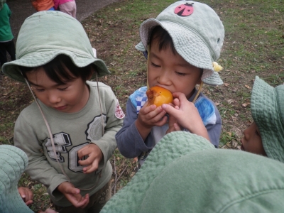 IMGP8201.JPG