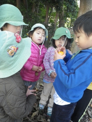 IMGP9594.JPG