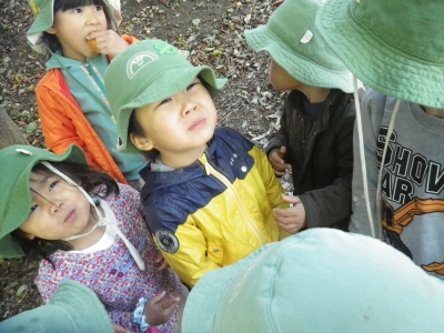 IMGP9595.JPG