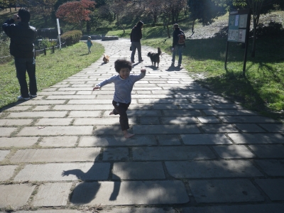 IMGP0001.JPG