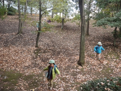 IMGP1262.JPG