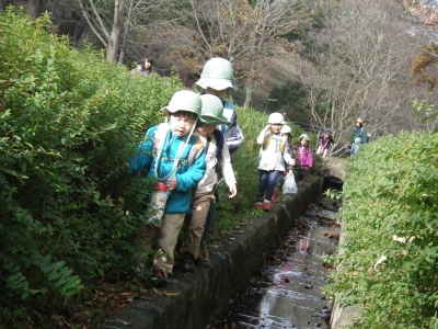 IMGP1267.JPG