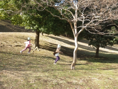 IMGP1282.JPG