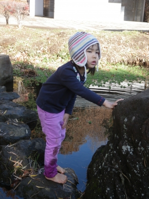 IMGP1293.JPG