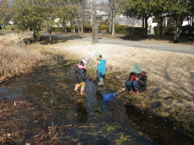 IMGP3225.JPG
