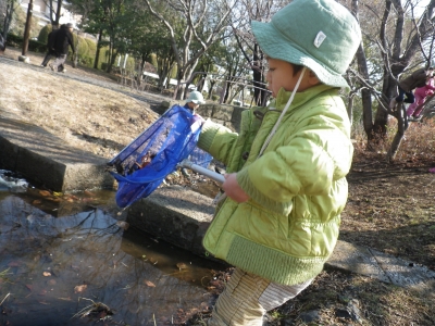 IMGP3255.JPG