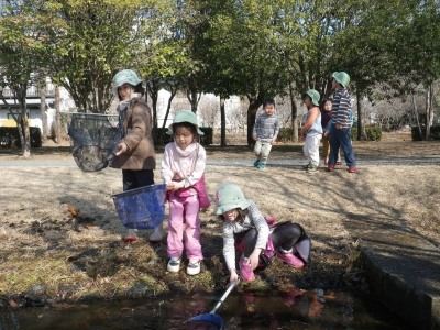 IMGP3303.JPG