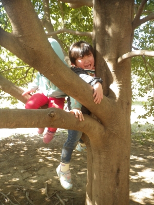 IMGP3662.JPG