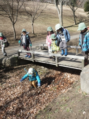 IMGP1013.JPG