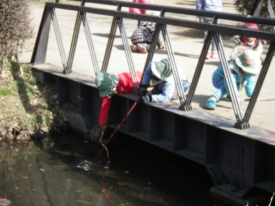 IMGP1063.JPG