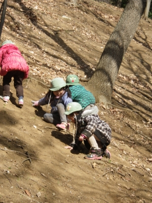 IMGP1067.JPG