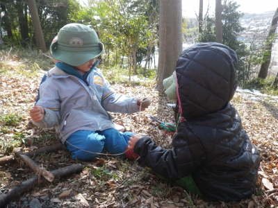 IMGP4626.JPG