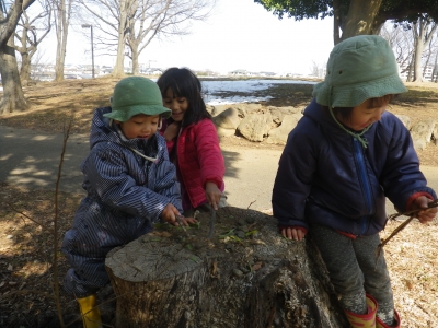 IMGP4636.JPG