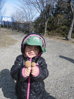 IMGP4735.JPG