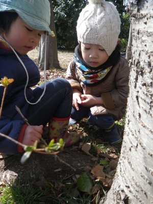 IMGP4756.JPG