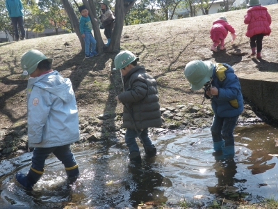 IMGP5716.JPG