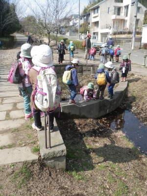 IMGP6006.JPG