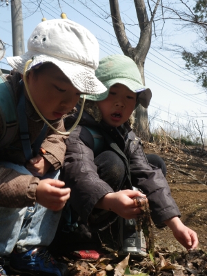 IMGP6019.JPG