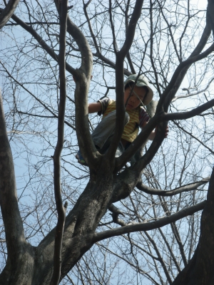 IMGP6033.JPG