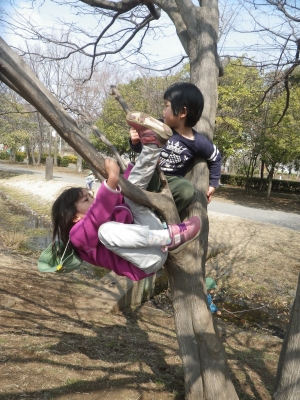 IMGP6036.JPG