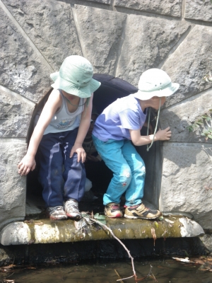 IMGP6048.JPG