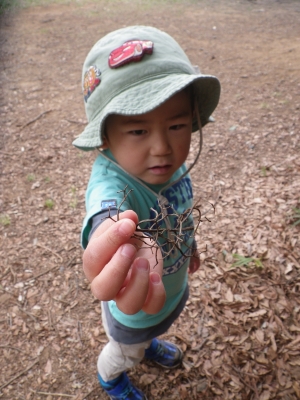 IMGP6496.JPG