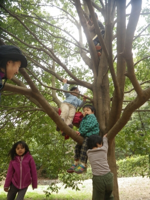 IMGP6538.JPG