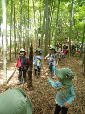 IMGP7994.JPG