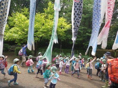 IMGP7988.JPG